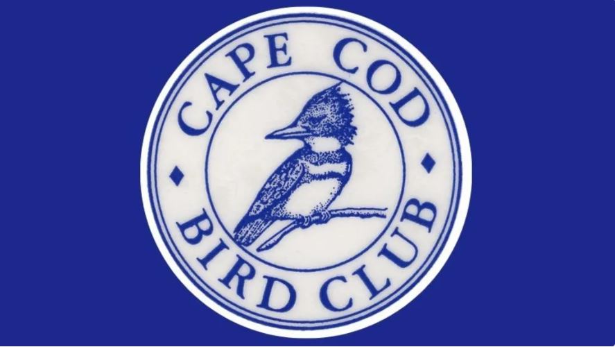cape cod bird club