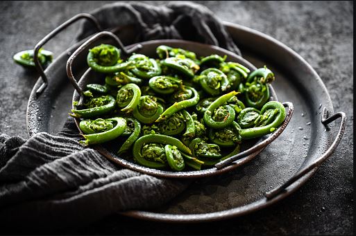 Fiddlehead ferns