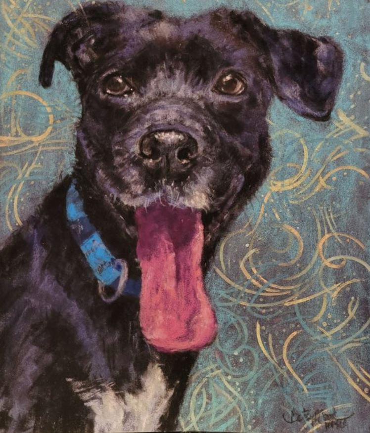 Pastel Pet Portraits with Betsy Payne Cook