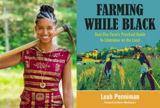 Farming while black