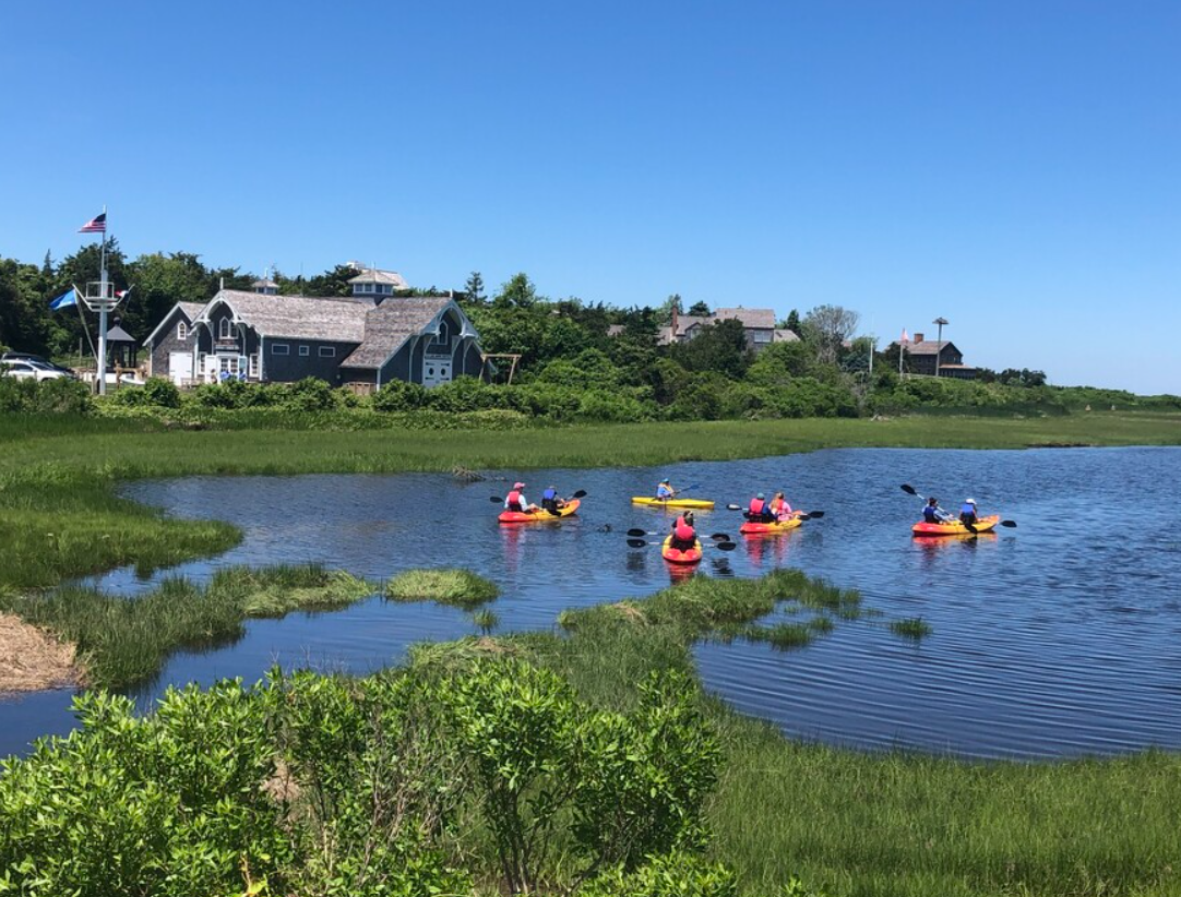 Marsh Kayak Tour