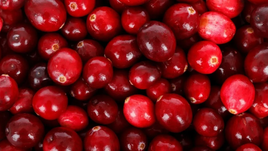 Cranberry Day