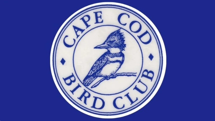 cape cod bird club