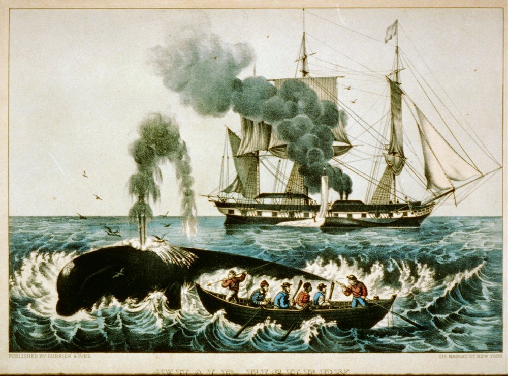 whaling in new england