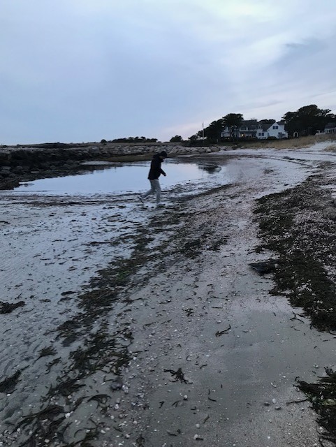 discovering cape cod shoreline