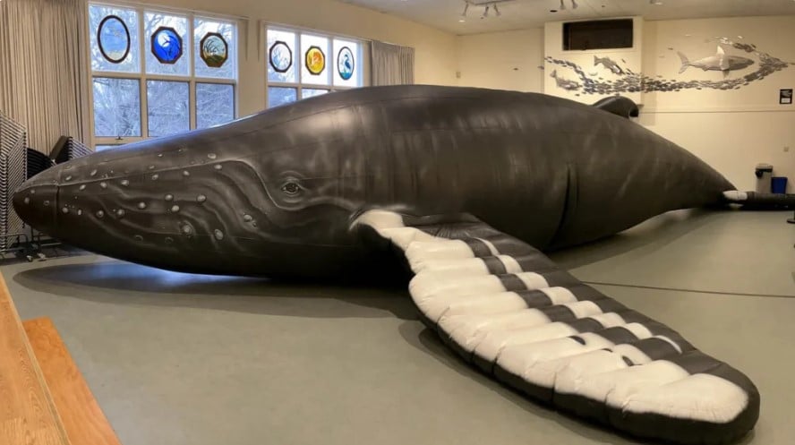inflatable whale